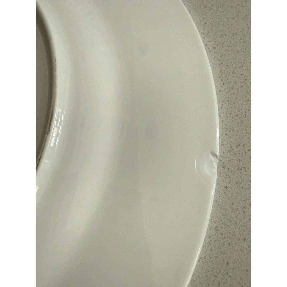 Lenox Floral Fusion Dinner Plates Stephanie Ryan Floral Design 11.5